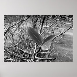 folhas em vida1 ポスター