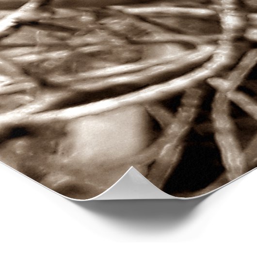 folhas em vida2 ポスター (角)