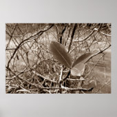 folhas em vida2 ポスター (正面)