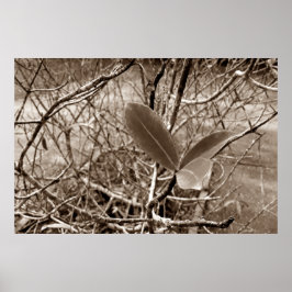 folhas em vida2 ポスター