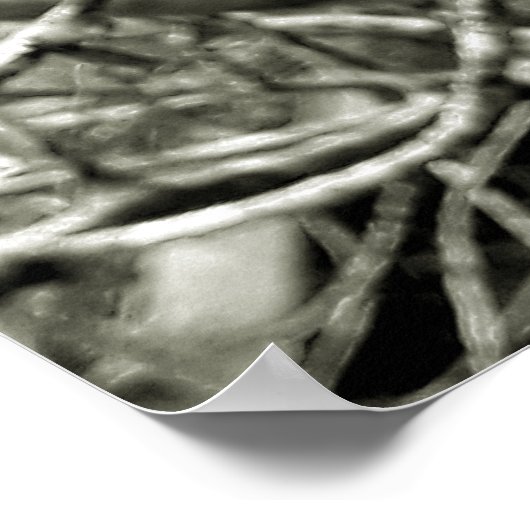 folhas em vida3 ポスター (角)