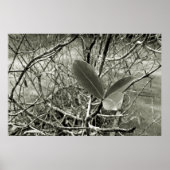 folhas em vida3 ポスター (正面)