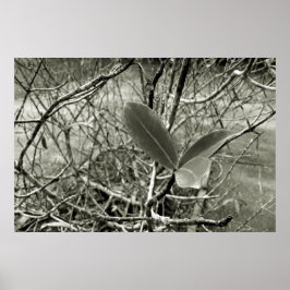 folhas em vida3 ポスター