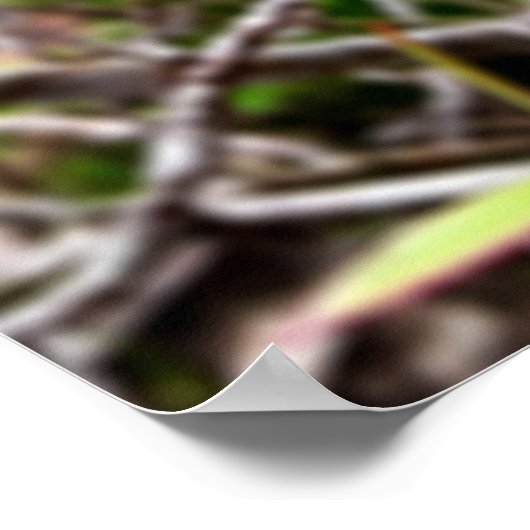 folhas em vida4 ポスター (角)