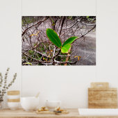 folhas em vida4 ポスター (キッチン)