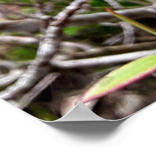 folhas em vida ポスター (角)