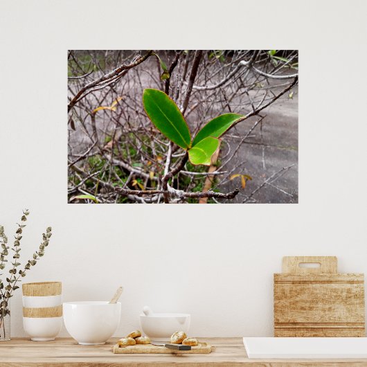 folhas em vida ポスター (キッチン)