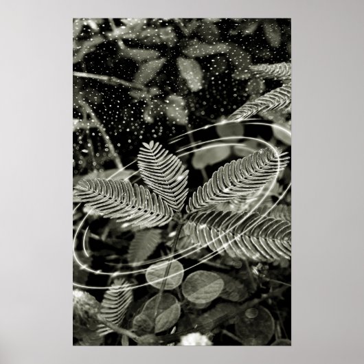 Folhas - Green ポスター (正面)