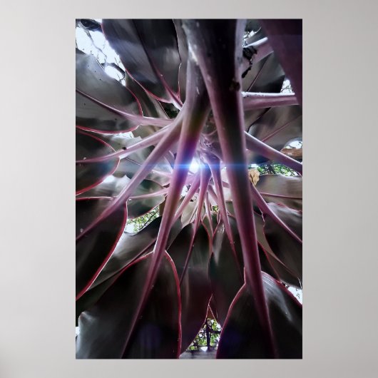 folhas roxas ポスター (正面)