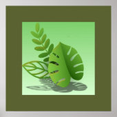 Folhas Verdes ポスター (正面)