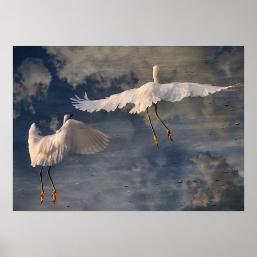 Follow Me Poster ポスター (正面)