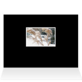 FOND THOUGHTS OF YOU THIS HOLIDAY SEASON/ SNOW (内部横(上))