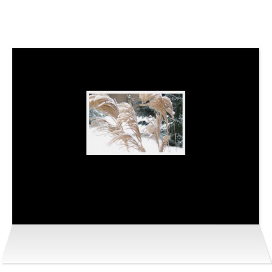 FOND THOUGHTS OF YOU THIS HOLIDAY SEASON/ SNOW (内部横(上))