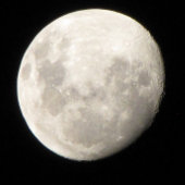 Food and Beverage Label Set . ワインラベル