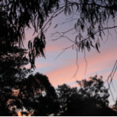 Food and Beverage Label Set . ワインラベル