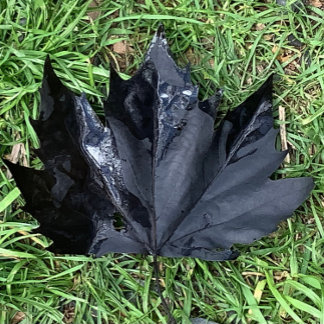 Food and Beverage Label Set . ワインラベル