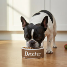 food bowl | food bowl | personalized