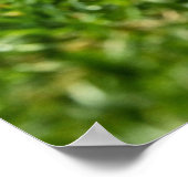 Football Receiver Gloves on Turf Field ポスター (角)