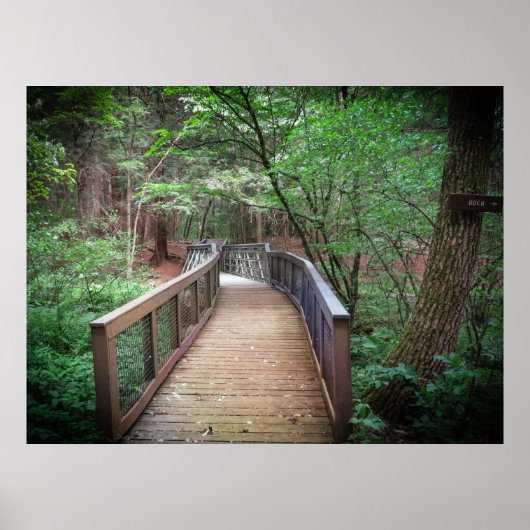 Footbridge ポスター (正面)