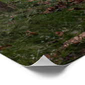 Footbridge in Fall ポスター (角)