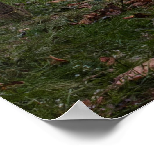 Footbridge in Fall ポスター (角)