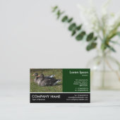 Footed写真 – Greylag Geese 名刺 (スタンド正面)