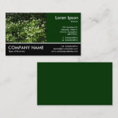 Footed Photo – 野生のニンニク 名刺 (正面/裏面)