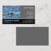 Footed Photo - 60pc Gray - Swan 名刺 (正面/裏面)