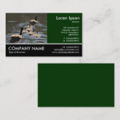 Footed Photo - Canada Geese with Goslings 名刺 (正面/裏面)