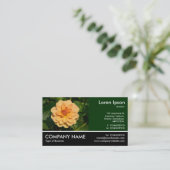 Footed Photo - Dahlia 'David Howard' 名刺 (スタンド正面)