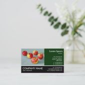 Footed Photo - Dk Green – ピンクレディ絵画ズ2 (s) 名刺 (スタンド正面)