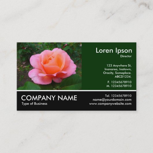 Footed Photo - Dk Green - Pink Rose 名刺 (正面)