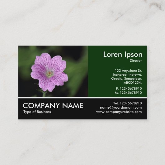 Footed Photo - Geranium Endressii 名刺 (正面)