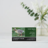 Footed Photo - Gosling 02 名刺 (スタンド正面)