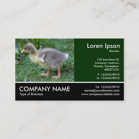 Footed Photo - Gosling 02 名刺 (正面)
