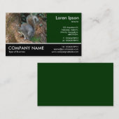 Footed Photo - Gray Squirrel名刺 名刺 (正面/裏面)