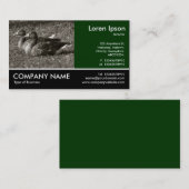 Footed Photo - Greylag Geese (Sepia) 名刺 (正面/裏面)