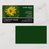 Footed Photo - Hover Fly on a Yellow Chryk 名刺 (正面/裏面)