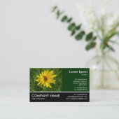 Footed Photo - Hover Fly on a Yellow Chryk 名刺 (スタンド正面)