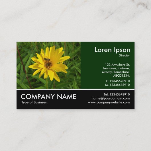 Footed Photo - Hover Fly on a Yellow Chryk 名刺 (正面)