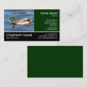 Footed Photo - Mallard Duck 名刺 (正面/裏面)