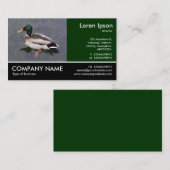 Footed Photo - Mallard Duck 名刺 (正面/裏面)