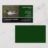 Footed Photo - Mallard Duck 名刺 (正面/裏面)