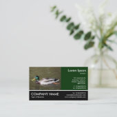 Footed Photo - Mallard Duck 名刺 (スタンド正面)