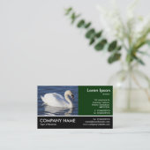 Footed Photo - Mute Swan 名刺 (スタンド正面)