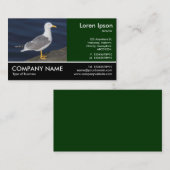 Footed Photo - Yellow-Leged Gull 名刺 (正面/裏面)