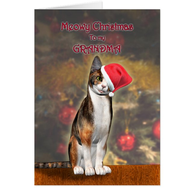 For Grandma, a funny cat in a Christmas hat (正面)