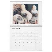 For the Love of Chickens 2026 Calendar カレンダー (3月 2026)