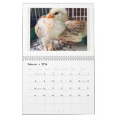 For the Love of Chickens 2026 Calendar カレンダー (2月 2026)