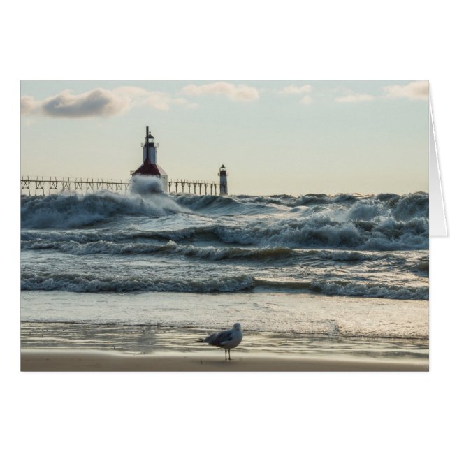 Force Behind美しい (正面横)